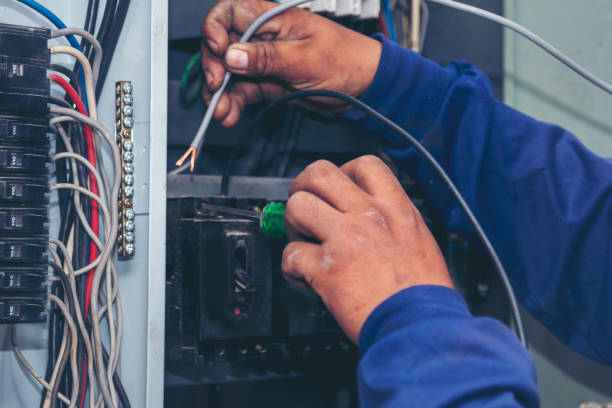 Best Ceiling Fan Installation Electrician  in Trenton, TN